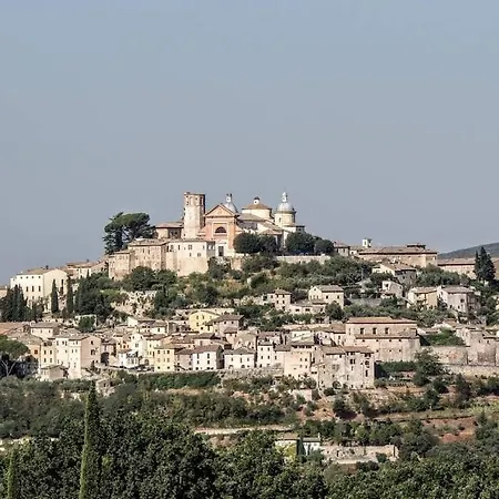 Del Borgo *